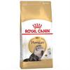רויאל קנין Royal canin לחתול פרסי -4 ק"ג
