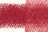 Carmine 160
