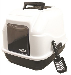 שרותים סגורים לחתול imac איימק