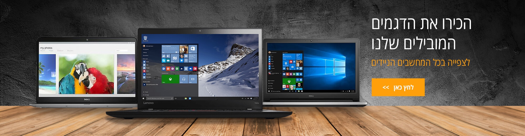 הדגמים המובילים