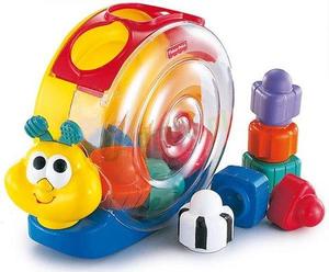 חילזון התאם צורות פישר פרייס