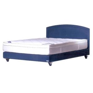 בסיס מרופד ברקת פולירון