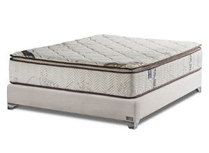 Ortho Teva זוגי King David