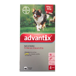 אדוונטיקס-אמפולות נגד פרעושים וקרציות לכלב במשקל 10-25 ק"ג