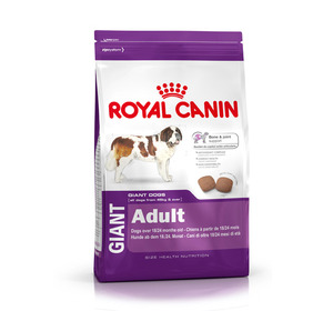  רויאל קנין Royal canin לכלב-ג'יאנט אדולט-15 ק"ג- לא זמין!