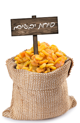 פירות יבשים