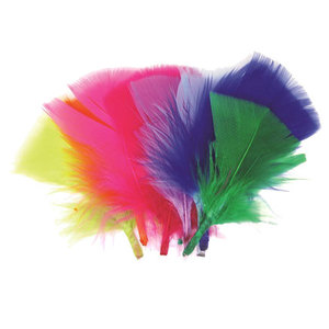 מארז 12 יח' נוצות פשוטות 10 גרם מעורב צבעים