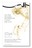 צבע לטקסטיל I-DYE גוון ECRU 402 jacquard
