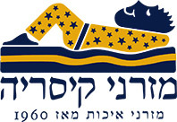 מזרון זוגי ללא קפיצים ריפלקס קיסריה