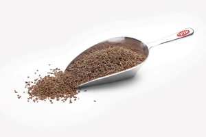 זרעי אניס - 100 גרם