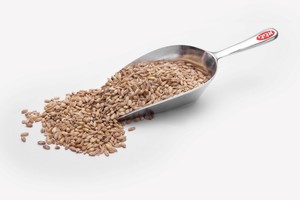 גריסים - 2 ק"ג 