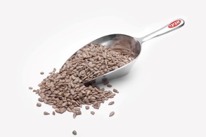 גרעיני חמניה קלופים - 1 ק"ג 