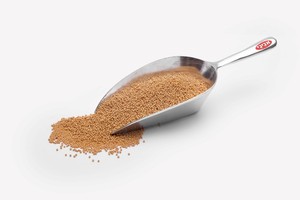 גרגירי חרדל צהוב - 1 ק"ג