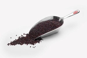 גרגירי חרדל שחור- 1 ק"ג