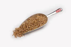 גרגירי כוסברה - 50 גרם