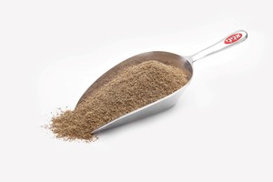 כוסברה טחונה - 1 ק"ג