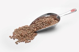 עדשים ירוקות - 2 ק"ג 