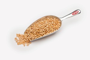 צנובר - 1 ק"ג