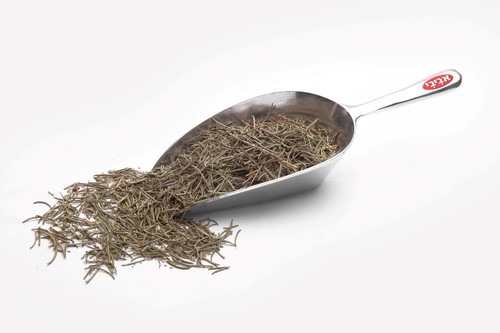 רוזמרין - 1 ק