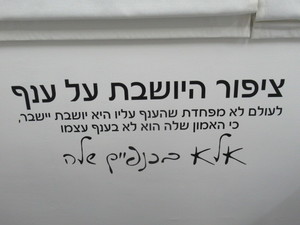 עיצוב קירות 21