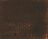 צבע אג טמפרה 21 מ"ל S1_205 Raw Umber SENNELIER