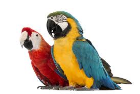 0d95595071fc0e6b72dbadfe001a0a00