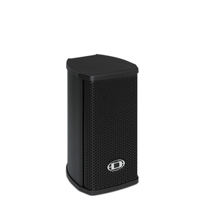 TS100 רמקול קולונה DYNACORD