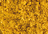 פיגמנט #254 Light Yellow Ochre SENNELIER