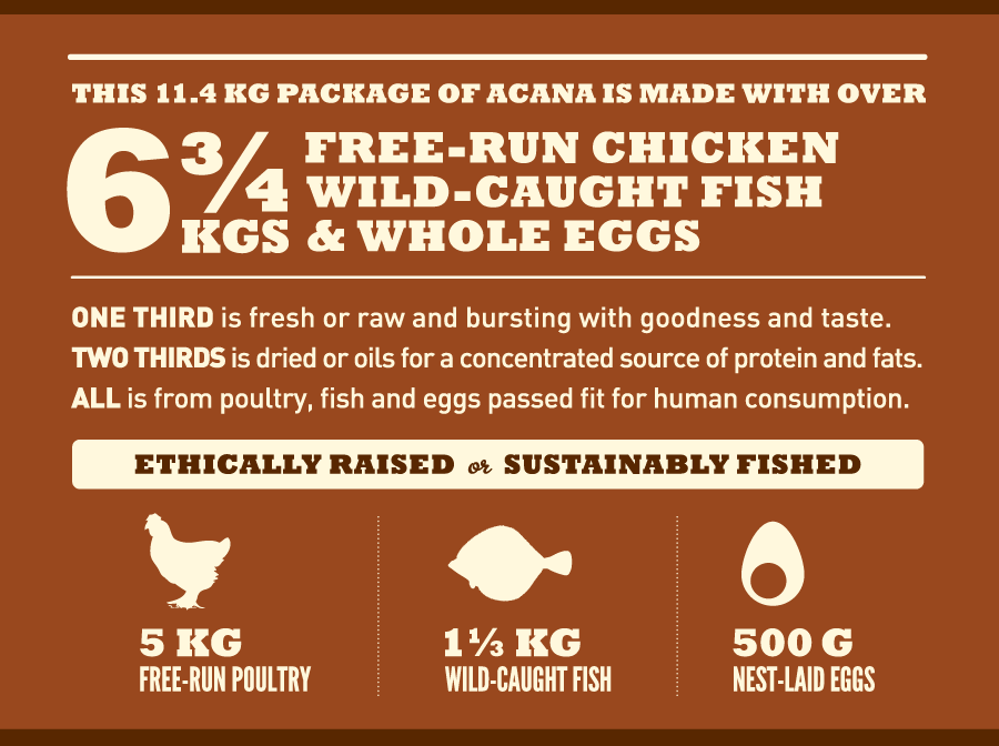 אוכל לכלבים אקנה הריטג' לכלבים בוגרים מגזעים גדולים 