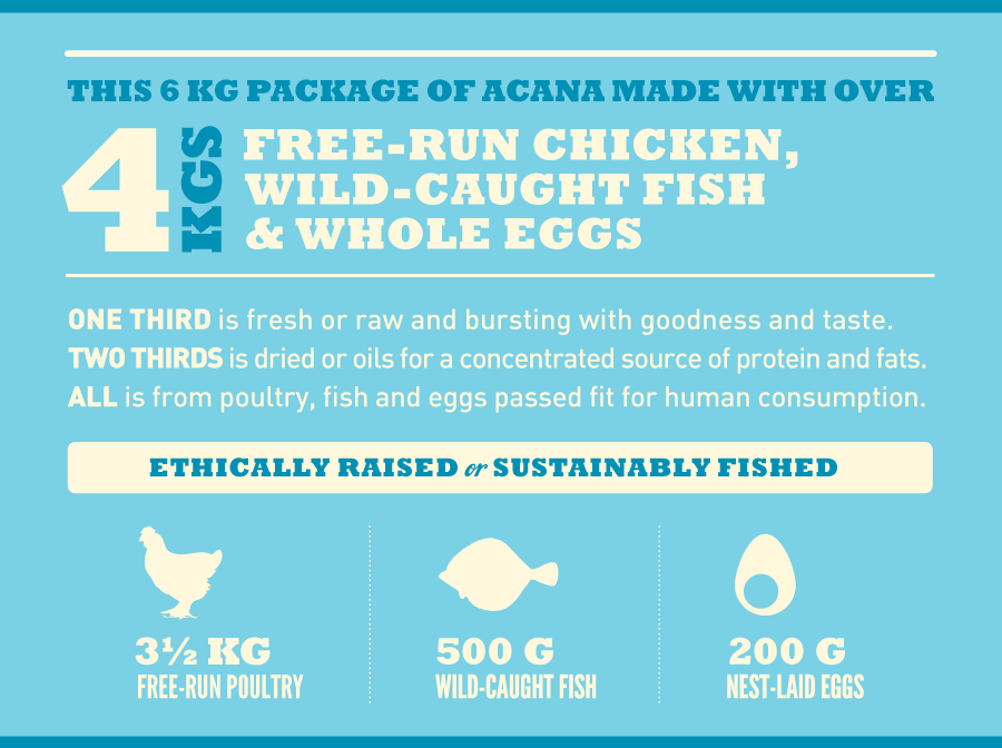 Acana Puppy Small breed | אקנה לגורים מגזע קטן