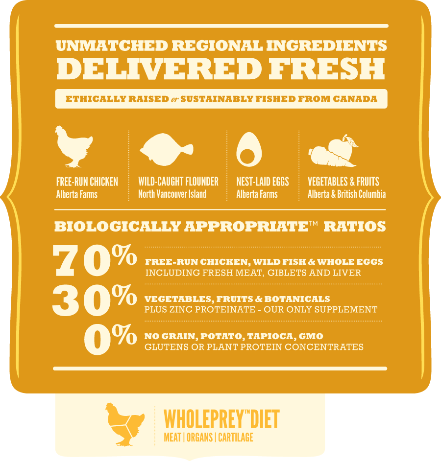 אוכל לכלבים אקאנה לגורים מגזע בגודל בינוני