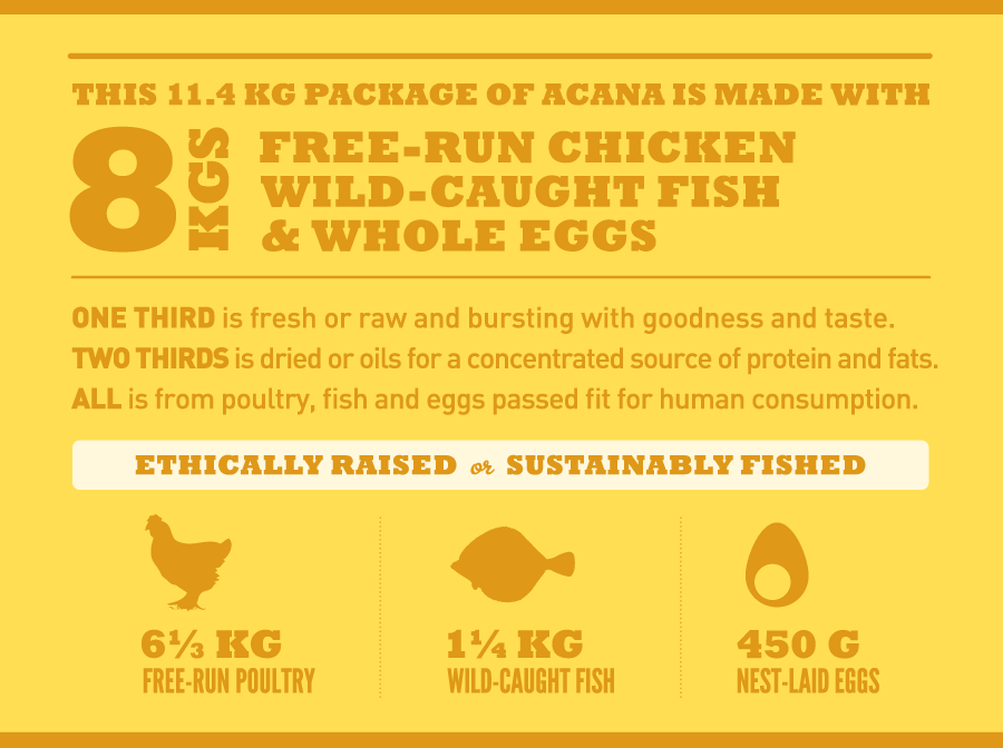 אוכל לגורים בגודל בינוני