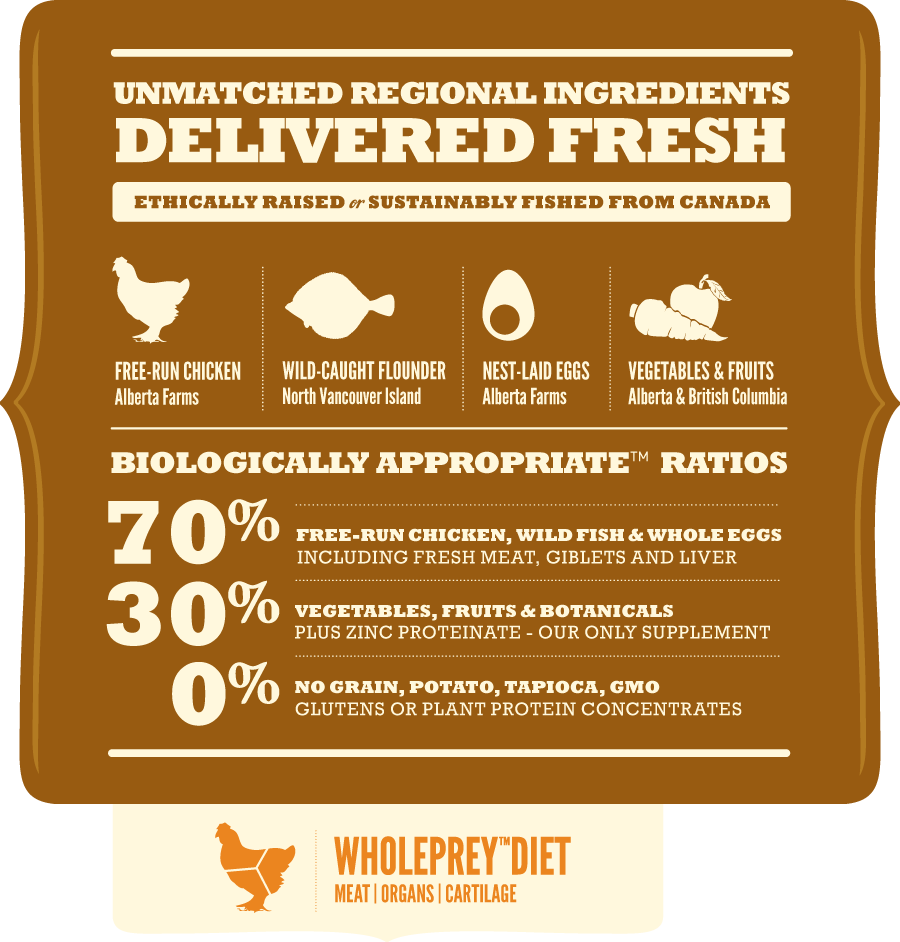 אקנה לגורים מגזעים גדולים | Acana Puppy Large Breed