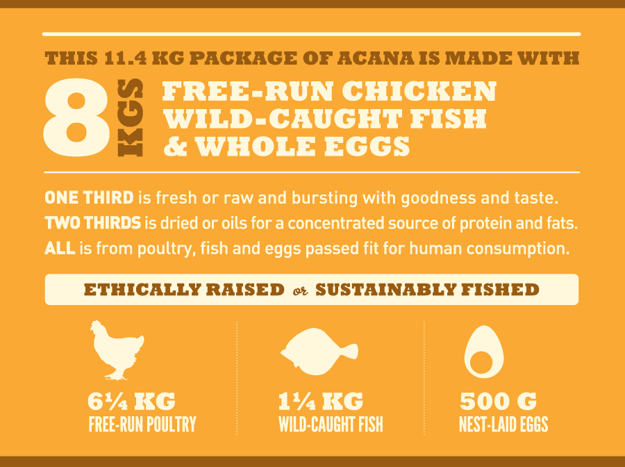 אקנה לגורים מגזעים גדולים | Acana Puppy Large Breed