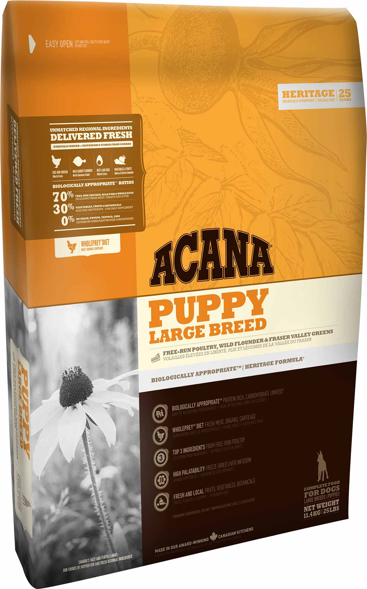 אקנה לגורים מגזעים גדולים | Acana Puppy Large Breed