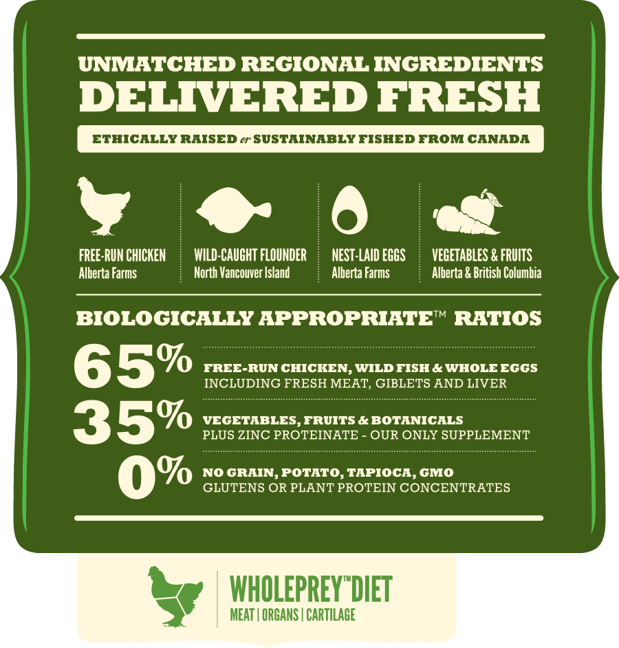 אקנה לכלבים מבוגרים&nbsp;| Acana Senior