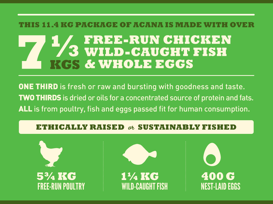 אקנה לכלבים מבוגרים&nbsp;| Acana Senior