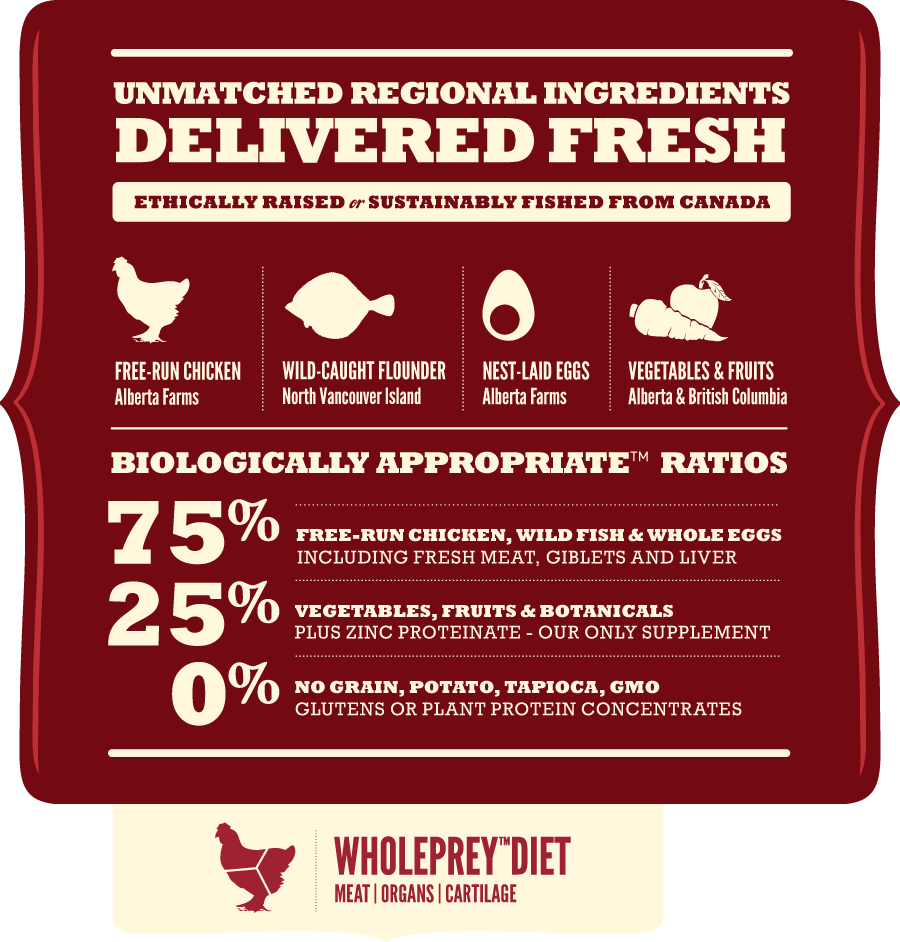 אקנה לכלבים בעלי צרכים אנרגטים גבוהים&nbsp;| Acana Sport & Agility