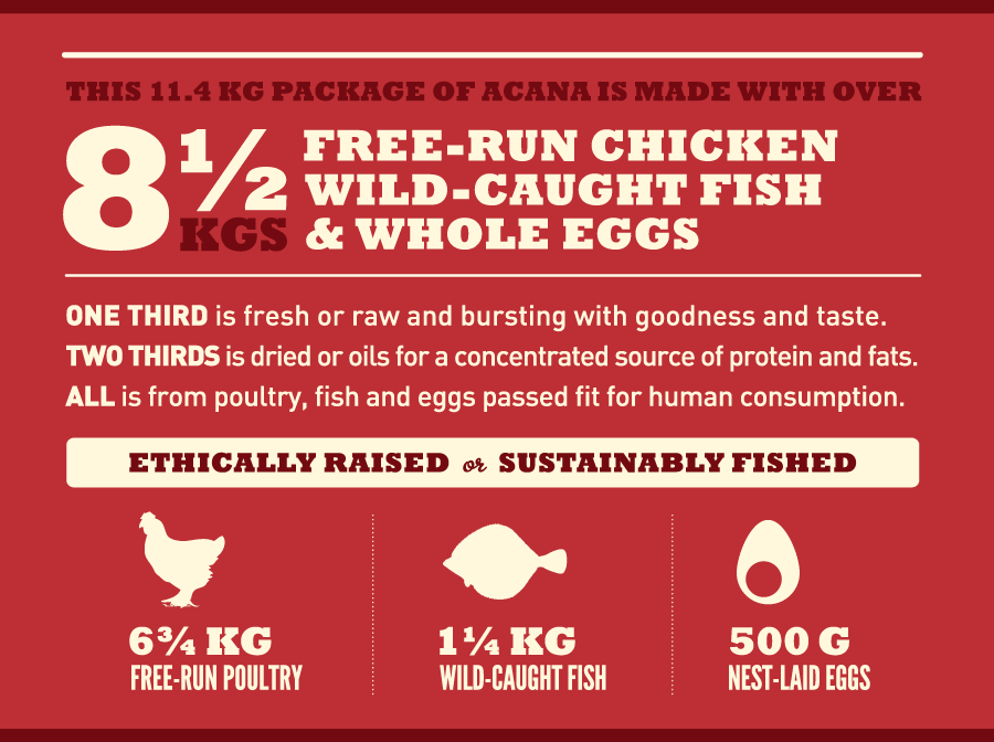 אקנה לכלבים בעלי צרכים אנרגטים גבוהים&nbsp;| Acana Sport & Agility