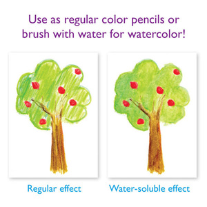 סט עפרונות צבעי מים בקופסת פח - סנאי EEBOO