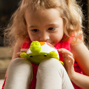 שלי הצב FAT BRAIN TOYS