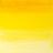 שמן 37מל' ארטיסט W&N סד' 4 653 Transparent Yellow Winsor&Newton