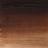 WINTON שפ' 200מ"ל - Burnt Umber Winsor&Newton