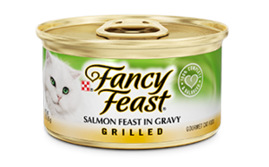 פנסי פיסט גריל סלמון ברוטב 85 גר