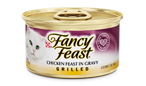 פנסי פיסט גריל עוף ברוטב 85 גר