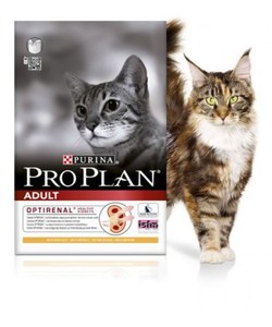 פרו פלאן חתול בוגר עוף ואורז 3 ק"ג