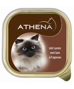 אתנה מעדן כבש לחתול. מבצע!!! 3 ב 11 ש"ח. ניתן לערבב טעמים.