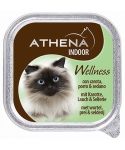 אתנה מעדן וולנס לחתול אינדור גזר סלרי וכרישה. מבצע!!! 3 ב 11 ש"ח. ניתן לערבב טעמים.