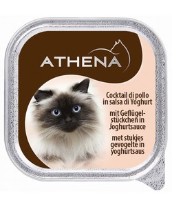 אתנה עוף ביוגורט. מבצע!!! 3 ב 11 ש"ח. ניתן לערבב טעמים.