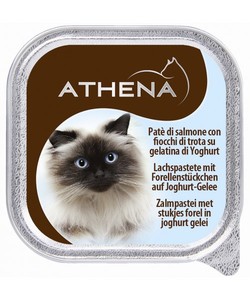 אתנה פטה סלמון ונתחי פורל. מבצע!!! 3 ב 11 ש"ח. ניתן לערבב טעמים.